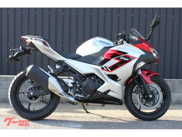 Kawasaki Ninja 250 2026 2026 — фото 1, купить с доставкой в Москву