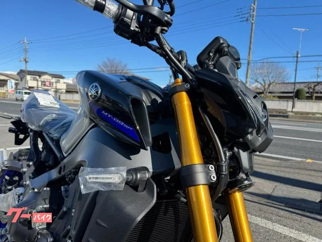 Yamaha MT-09 SP 2022 — миниатюра 2