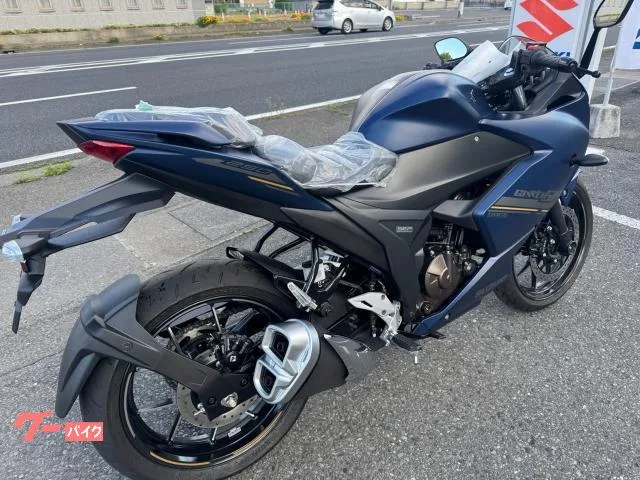 Suzuki GIXXER SF 250 3 LED 2024 — миниатюра 5