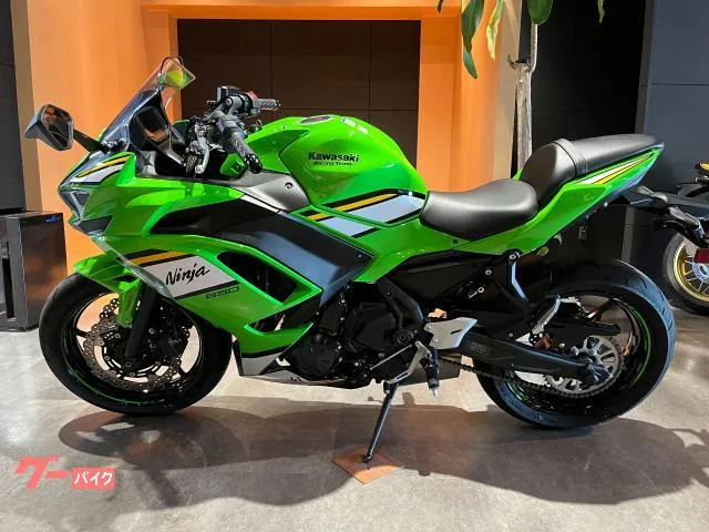 Kawasaki Ninja 650 ETC2.0 2025 — миниатюра 2