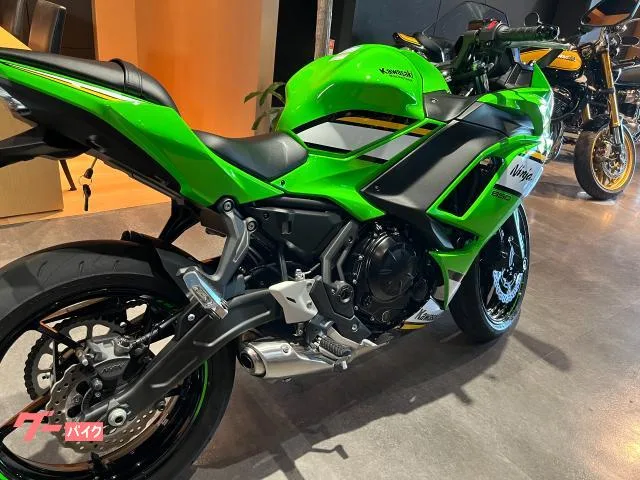 Kawasaki Ninja 650 ETC2.0 2025 — миниатюра 5