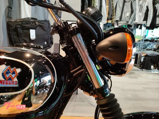Kawasaki S1 2025 — миниатюра 2