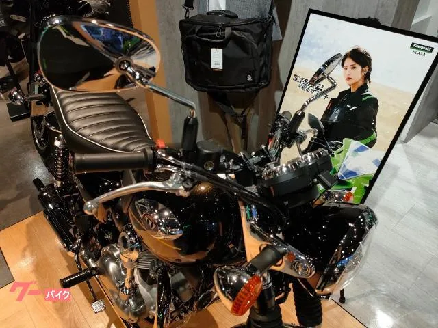 Kawasaki W800 ETC2.0 2025 — миниатюра 4