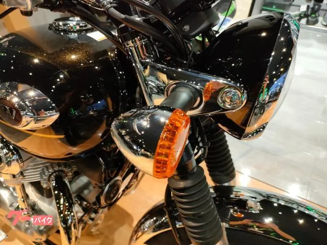 Kawasaki W800 ETC2.0 2025 — миниатюра 5