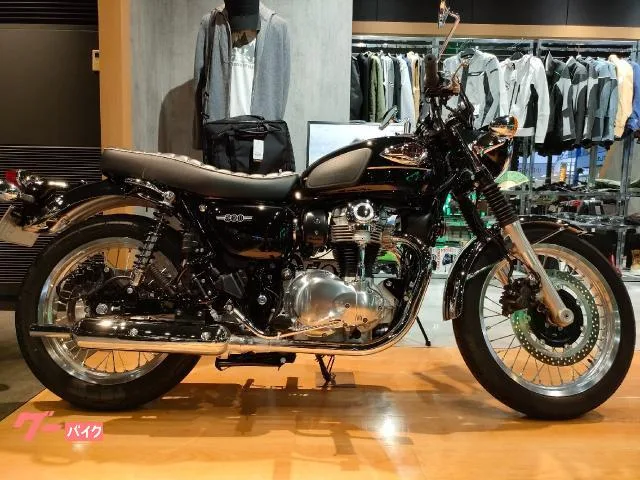 Kawasaki W800 ETC2.0 2025 — фото 1, купить с доставкой в Москву