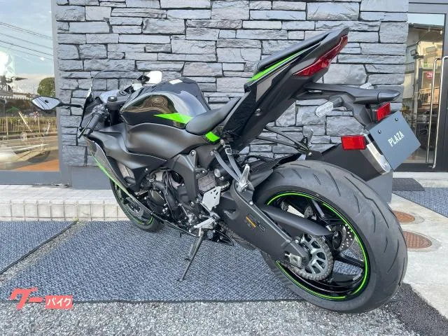 Kawasaki Ninja ZX-6R ETC 2025 — миниатюра 3