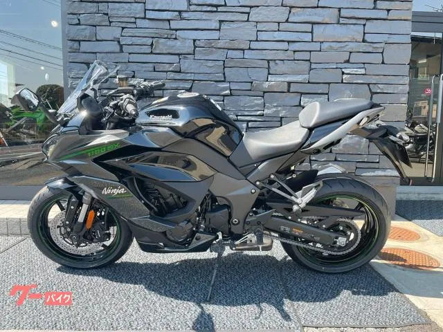 Kawasaki Ninja 1100 SX ETCUSBC 2025 — миниатюра 2