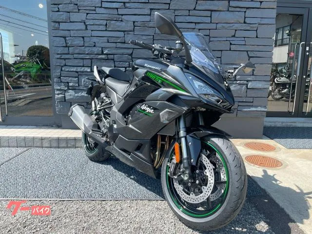 Kawasaki Ninja 1100 SX ETCUSBC 2025 — миниатюра 3