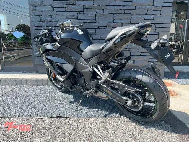 Kawasaki Ninja 1100 SX ETCUSBC 2025 — миниатюра 5