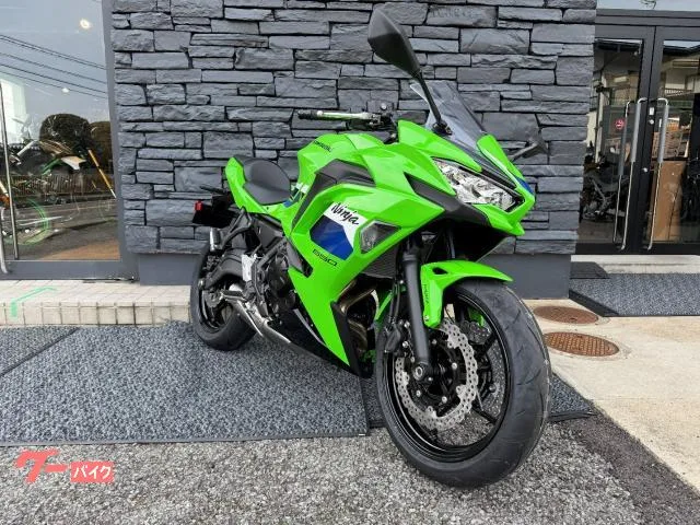 Kawasaki Ninja 650 ETC 2026 — миниатюра 2