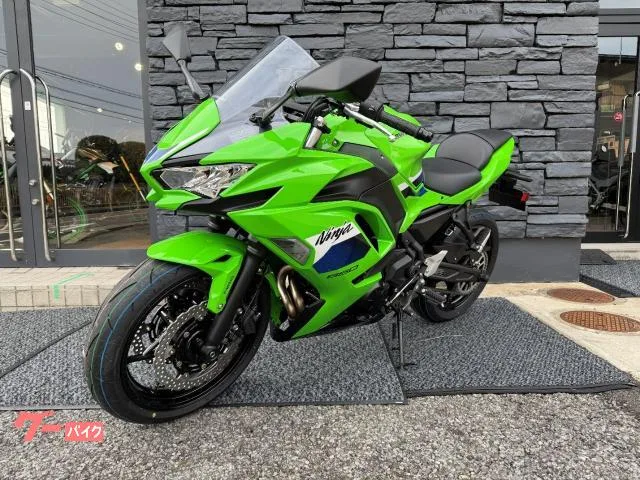 Kawasaki Ninja 650 ETC 2026 — миниатюра 4