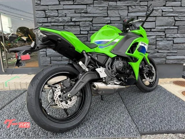 Kawasaki Ninja 650 ETC 2026 — миниатюра 5