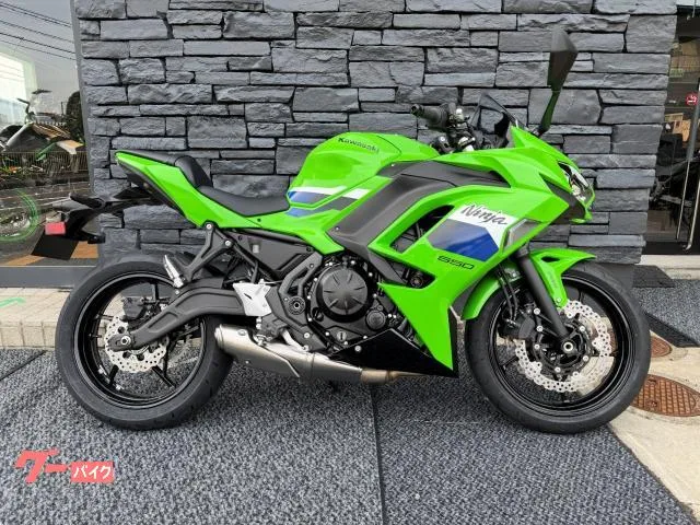 Kawasaki Ninja 650 ETC 2026 — фото 1, купить с доставкой в Москву