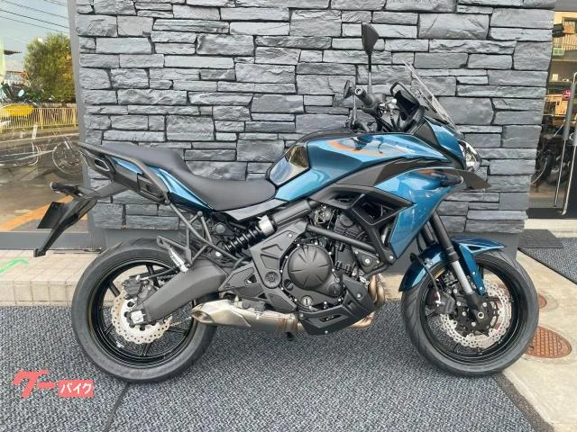 Kawasaki Versys 650 ETC 2026 — фото 1, купить с доставкой в Москву
