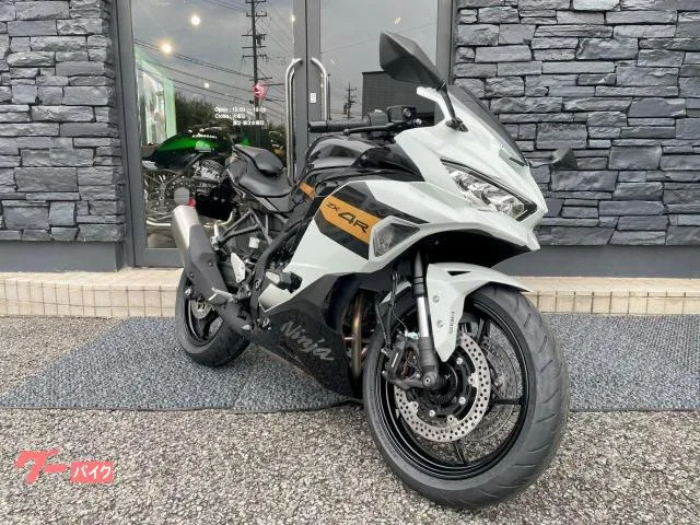 Kawasaki Ninja ZX-4R SE 2026 — миниатюра 2