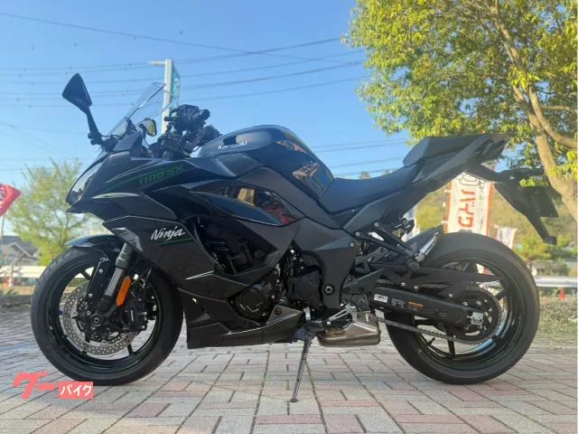 Kawasaki Ninja 1100 SX//ETC/ /C// 2025 — миниатюра 2