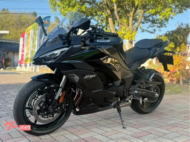 Kawasaki Ninja 1100 SX//ETC/ /C// 2025 — миниатюра 3