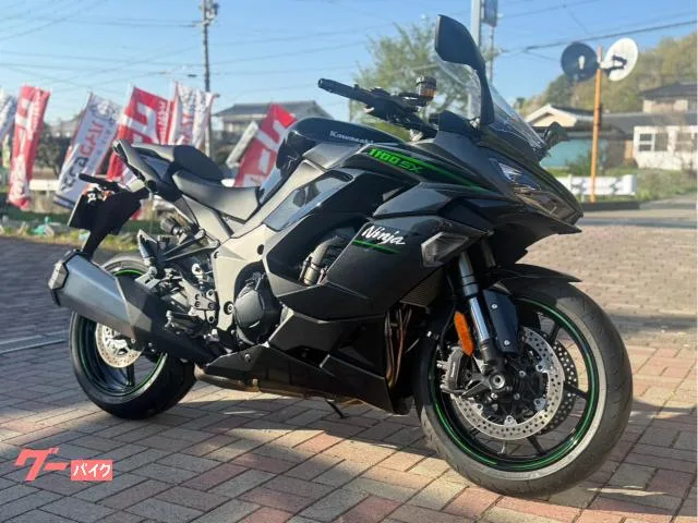 Kawasaki Ninja 1100 SX//ETC/ /C// 2025 — миниатюра 4