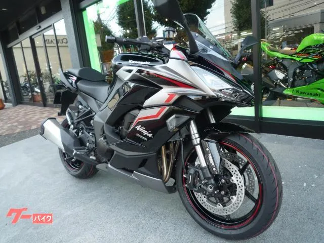 Kawasaki Ninja 1000 SX ETC2.0 2024 — миниатюра 2