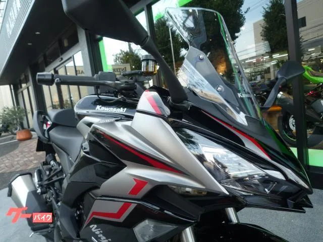 Kawasaki Ninja 1000 SX ETC2.0 2024 — миниатюра 3