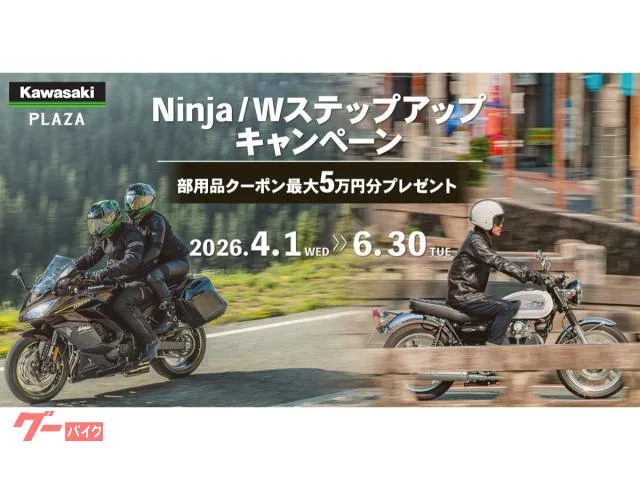 Kawasaki Ninja ZX-6R ETC2.0 2025 — миниатюра 2