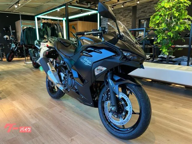 Kawasaki Ninja 500 2026 — миниатюра 2