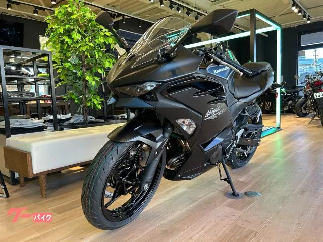 Kawasaki Ninja 500 2026 — миниатюра 5