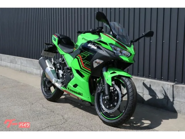 Kawasaki Ninja 250 2023 — миниатюра 2