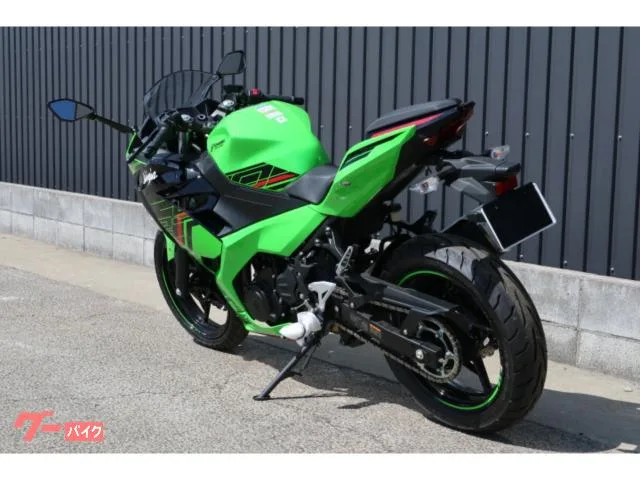 Kawasaki Ninja 250 2023 — миниатюра 3