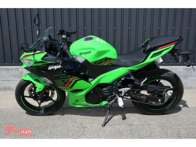 Kawasaki Ninja 250 2023 — миниатюра 4