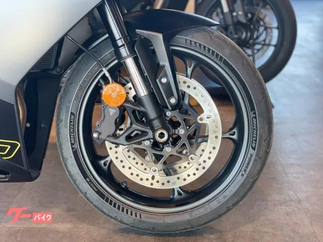 TRIUMPH 660 3 810mm 95PS 2024 — миниатюра 3