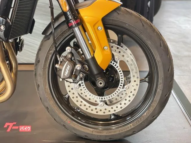 TRIUMPH 660 2024 — миниатюра 5