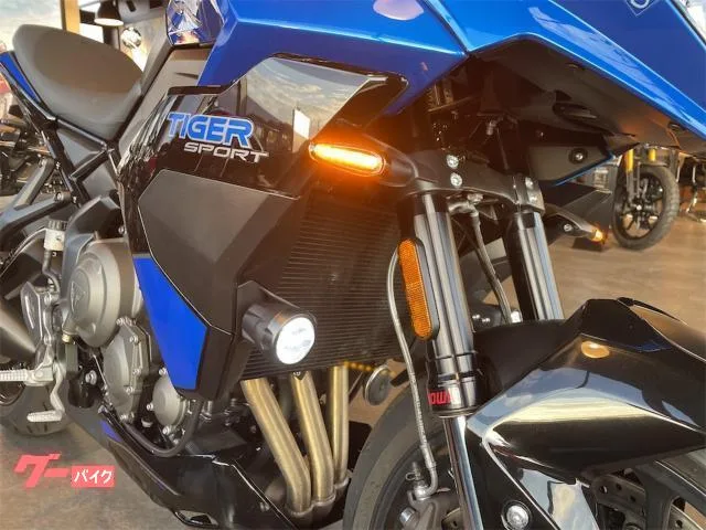 TRIUMPH 800 LED 2025 — миниатюра 4