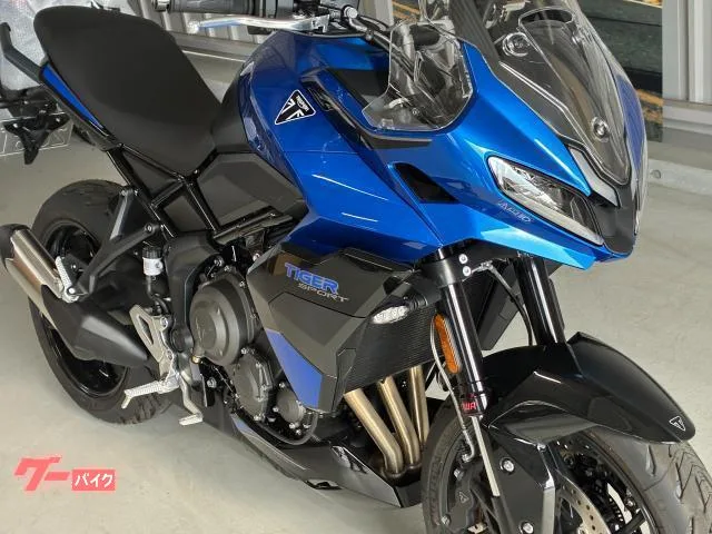 TRIUMPH 800 LED 2025 — миниатюра 5