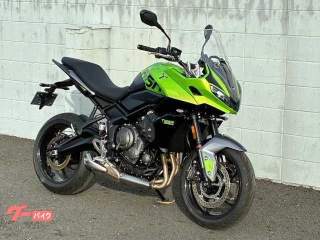 TRIUMPH 660 2025 — миниатюра 2