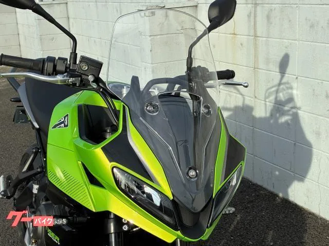 TRIUMPH 660 2025 — миниатюра 5
