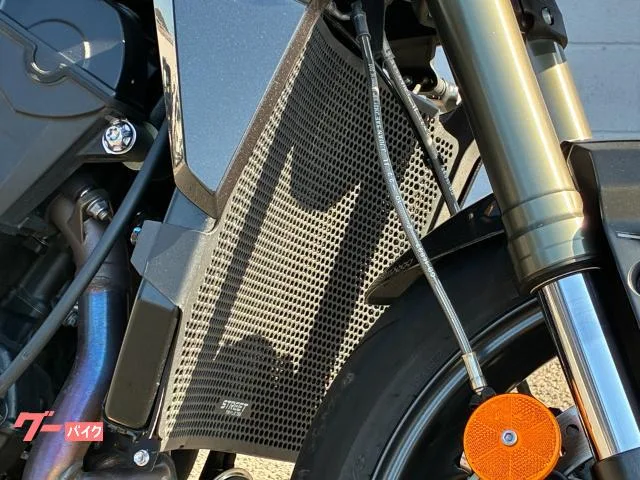 TRIUMPH 765RS 2023 — миниатюра 3