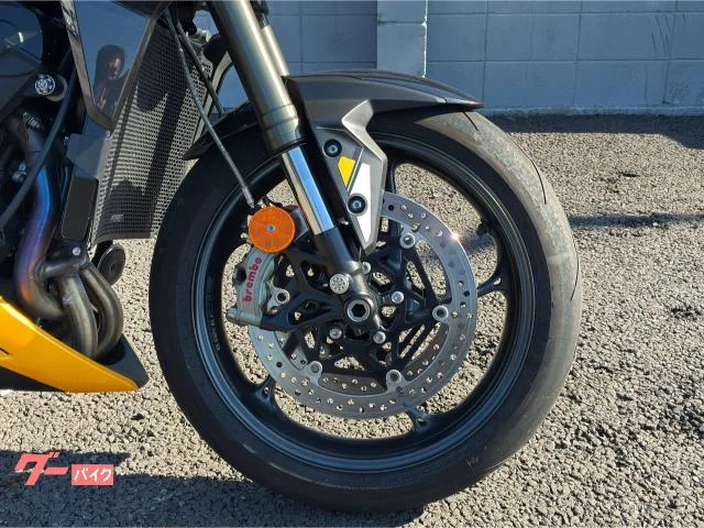 TRIUMPH 765RS 2023 — миниатюра 5