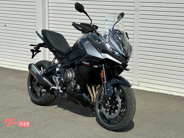 TRIUMPH 800 2025 — миниатюра 2