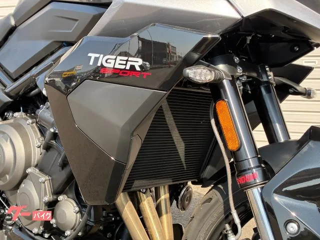 TRIUMPH 800 2025 — миниатюра 3