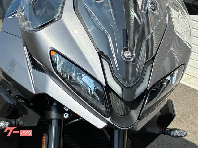 TRIUMPH 800 2025 — миниатюра 4