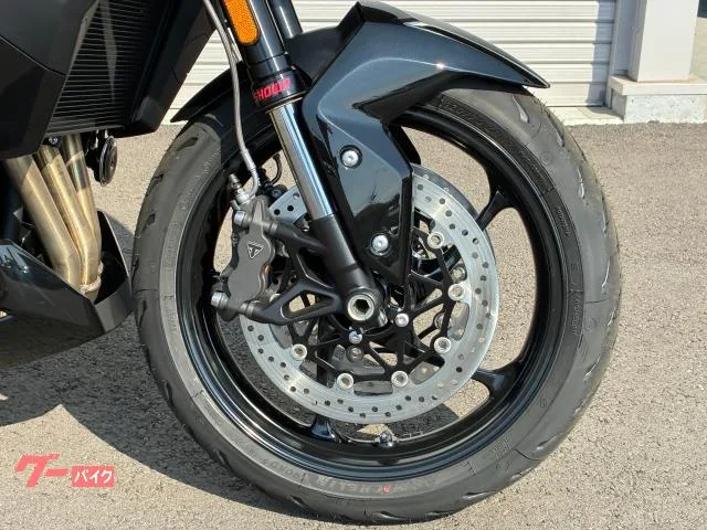 TRIUMPH 800 2025 — миниатюра 5