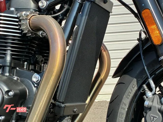 TRIUMPH 1200 2025 — миниатюра 3