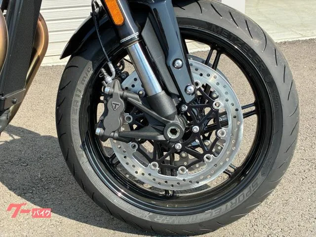 TRIUMPH 1200 2025 — миниатюра 5