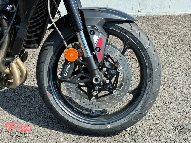 TRIUMPH 765R 2025 — миниатюра 5