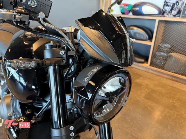 TRIUMPH 800 2026 2026 — миниатюра 5
