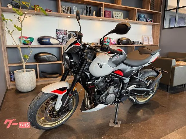 TRIUMPH 800 2026 2026 — миниатюра 3