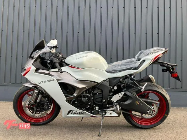 Kawasaki Ninja ZX-6R ETC 2025 — миниатюра 2
