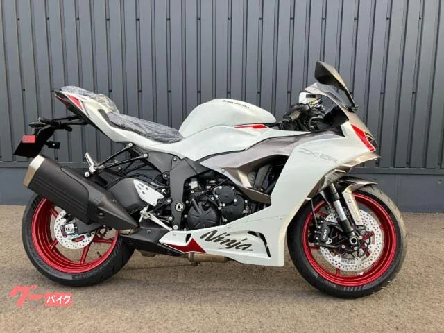 Kawasaki Ninja ZX-6R ETC 2025 — фото 1, купить с доставкой в Москву