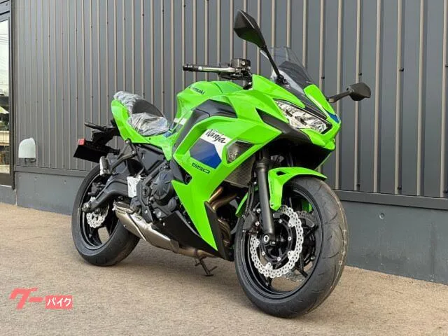 Kawasaki Ninja 650 2026 ETC 2026 — миниатюра 2